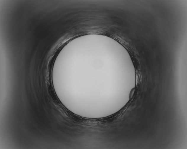 X0000083530339200703021558