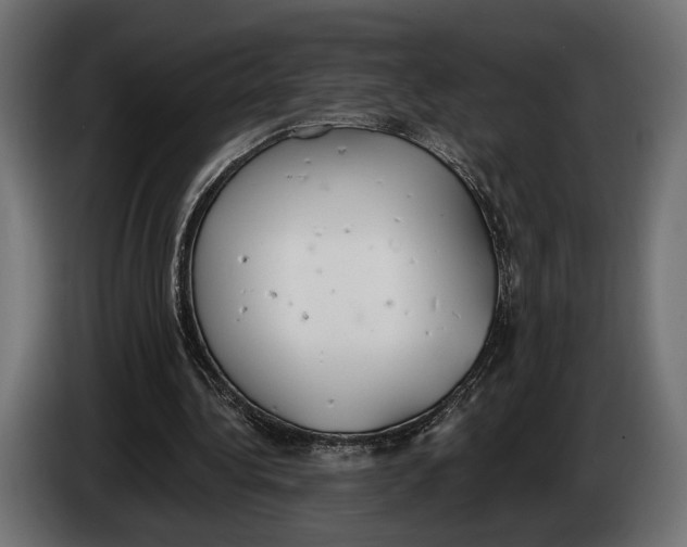 X0000083530340200703021558