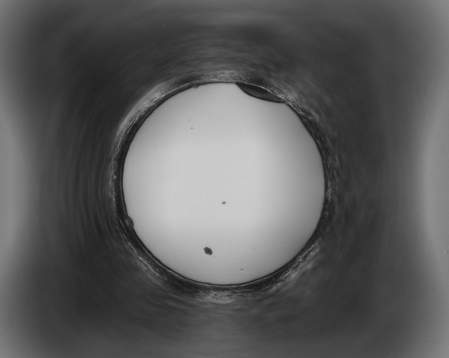 X0000083530341200703021558