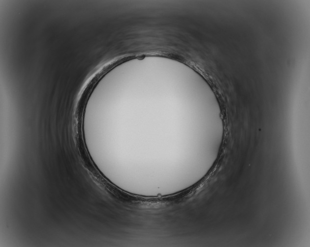 X0000083530342200703021558