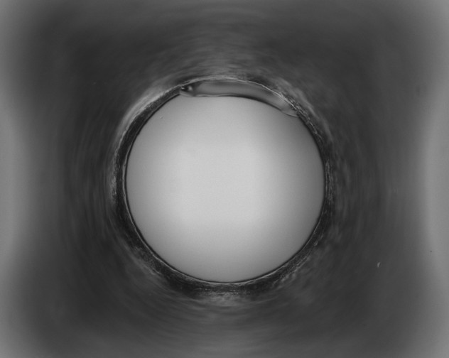 X0000083530344200703021558