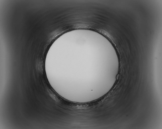 X0000083530345200703021558