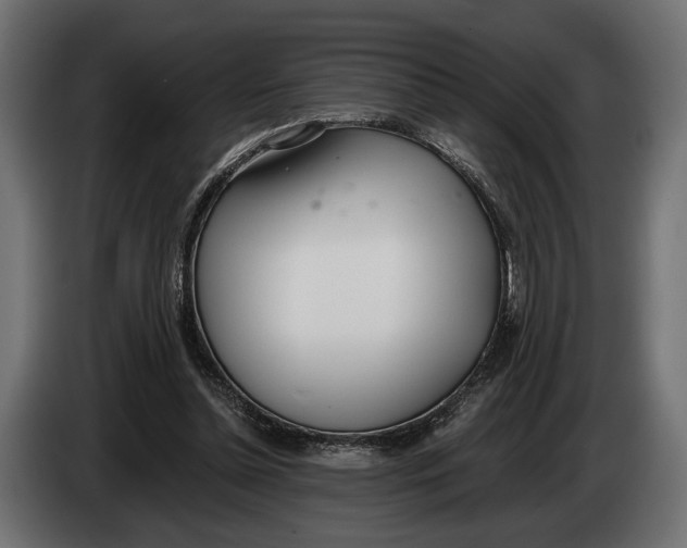 X0000083530348200703021558