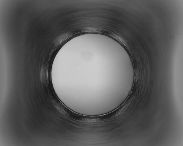 X0000083530349200703021558