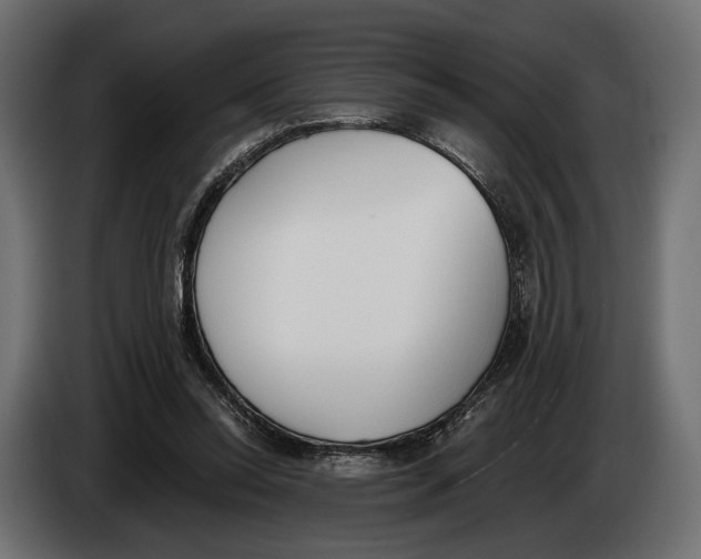 X0000083530350200703021558