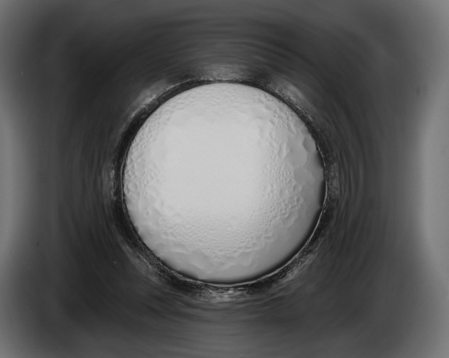 X0000083530351200703021558