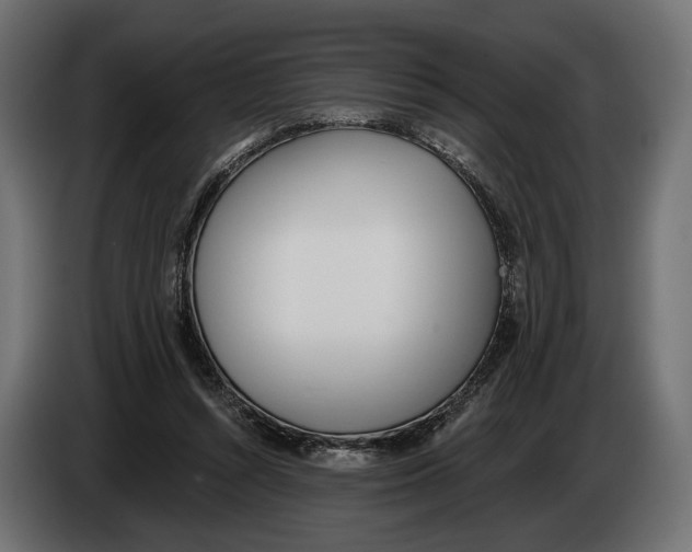 X0000083530352200703021558