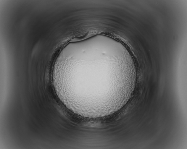 X0000083530353200703021558