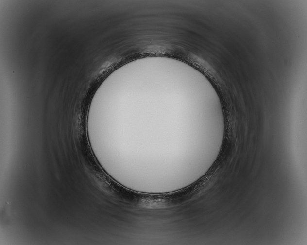 X0000083530354200703021558