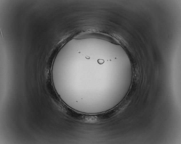 X0000083530355200703021559