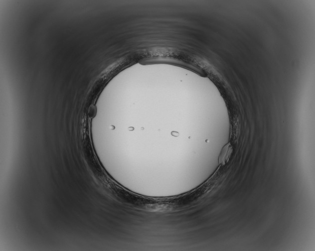 X0000083530356200703021559