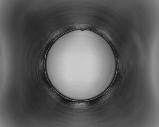 X0000083530357200703021559