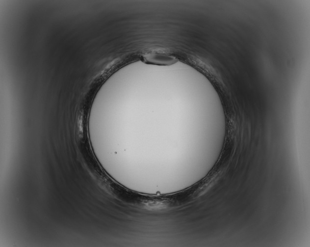 X0000083530358200703021559