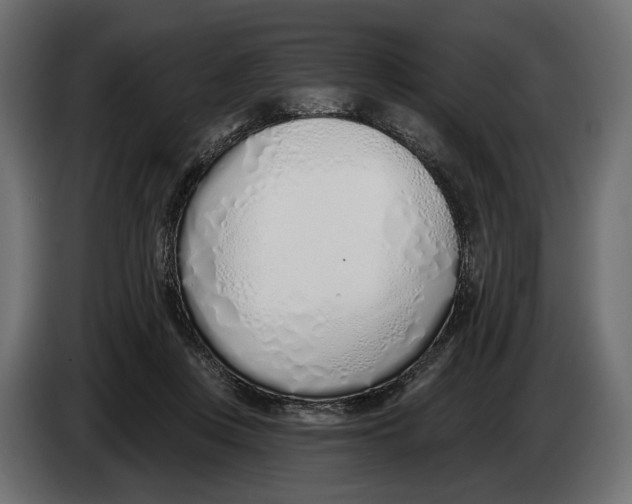 X0000083530359200703021559