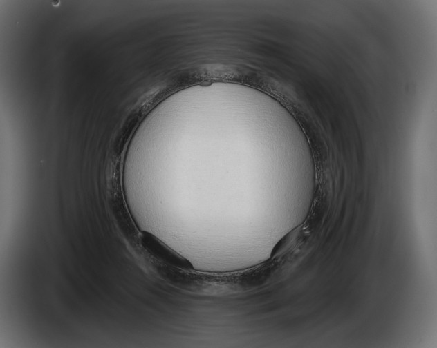 X0000083530360200703021559