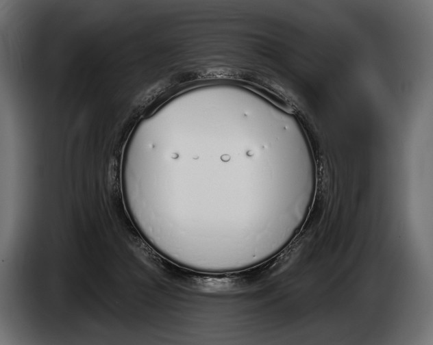 X0000083530361200703021559