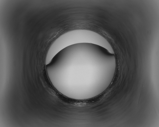 X0000083530362200703021559