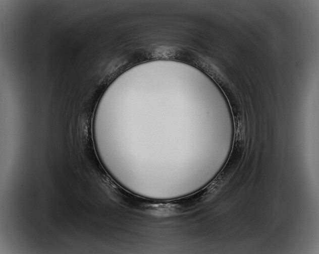 X0000083530363200703021559