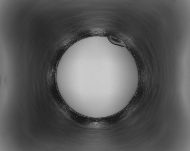 X0000083530364200703021559