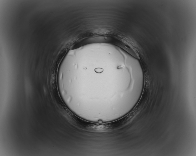 X0000083530365200703021559