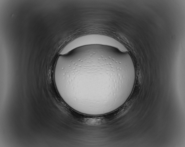 X0000083530366200703021559