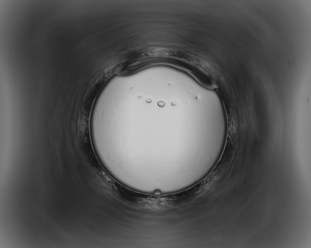 X0000083530367200703021559