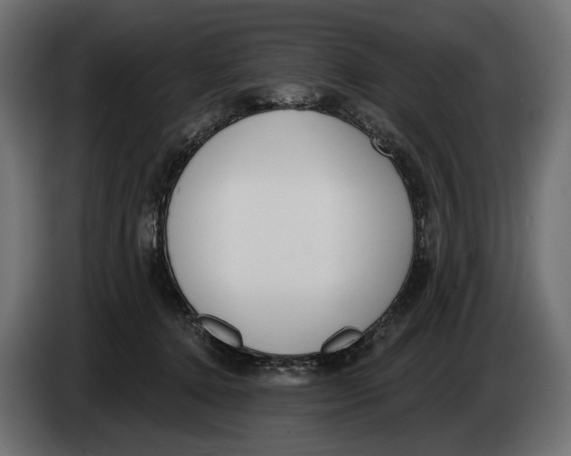 X0000083530368200703021559