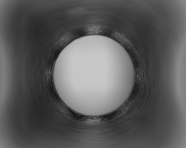 X0000083530369200703021559