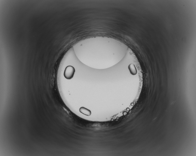 X0000083530370200703021559