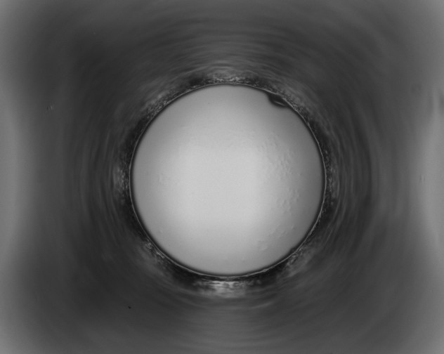 X0000083530371200703021559