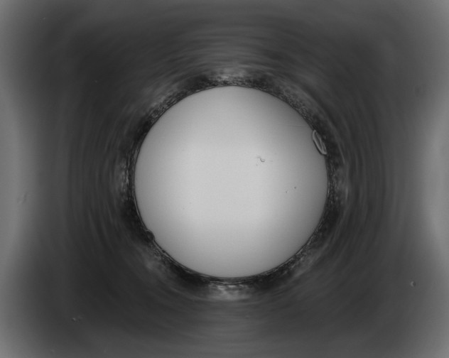 X0000083530372200703021559