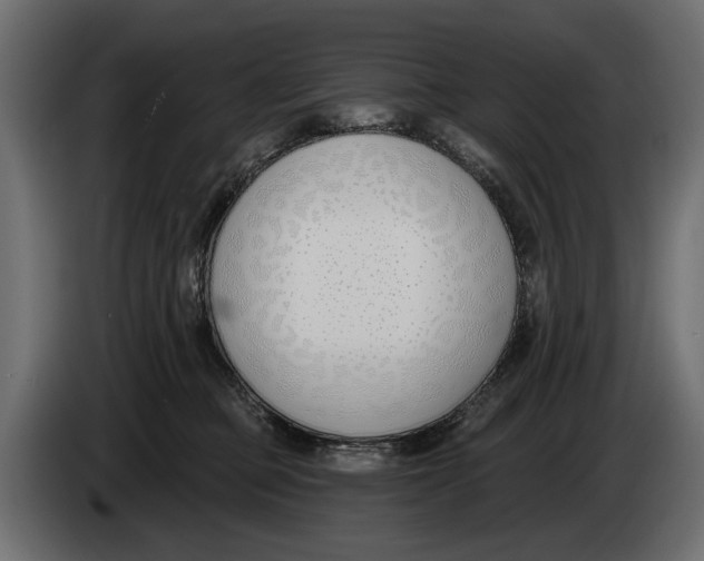 X0000083530373200703021559