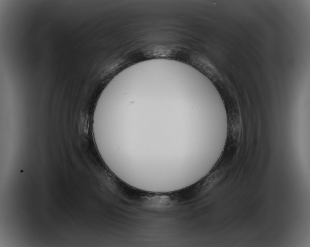 X0000083530374200703021559