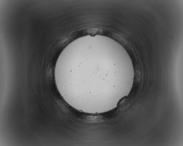 X0000083530375200703021559