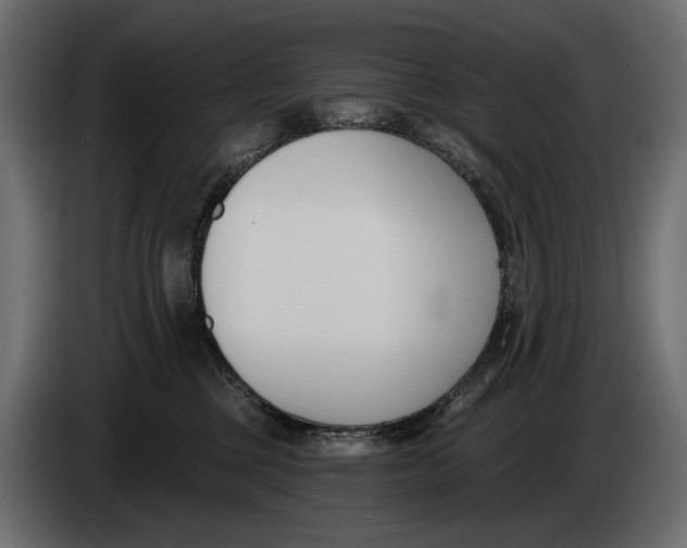 X0000083530377200703021559