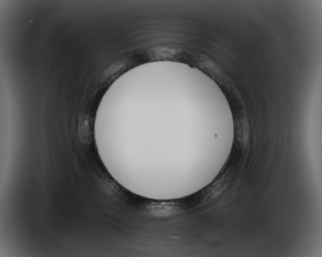 X0000083530378200703021559