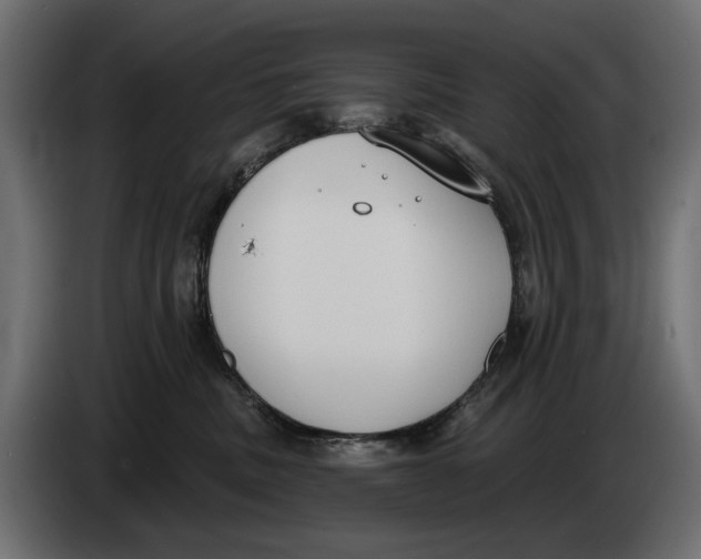 X0000083530379200703021559