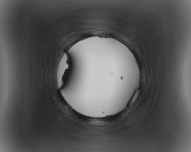 X0000083530380200703021559