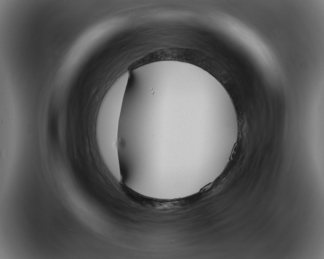 X0000083530382200703021559