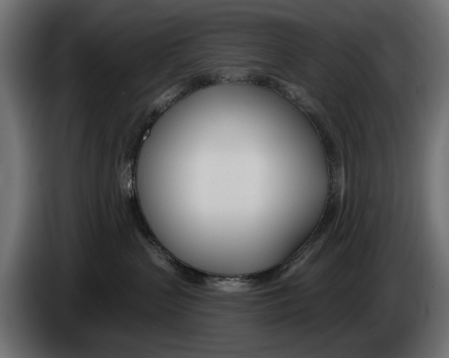 X0000083530383200703021559