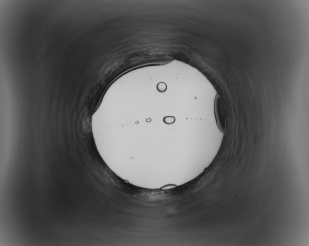 X0000083530384200703021559