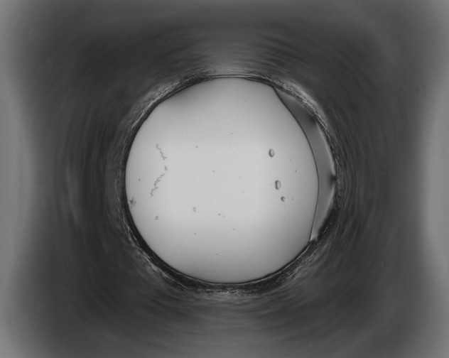 X0000083530385200703021558