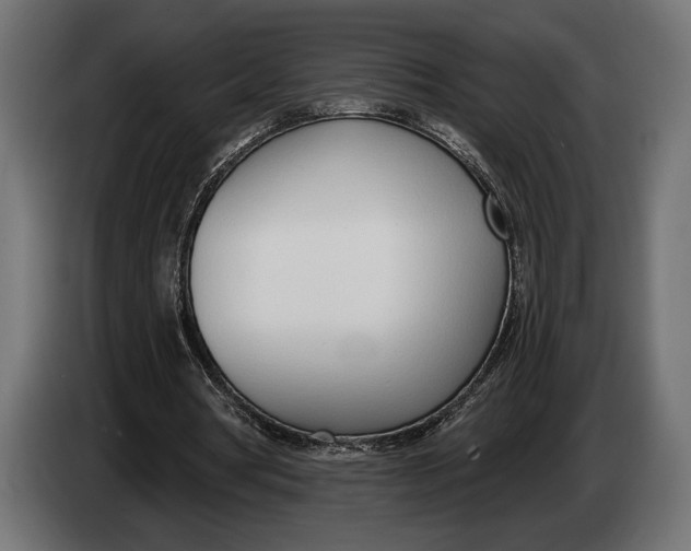 X0000083530386200703021558