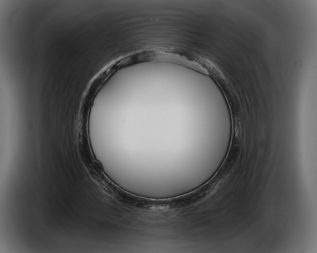 X0000083530388200703021558