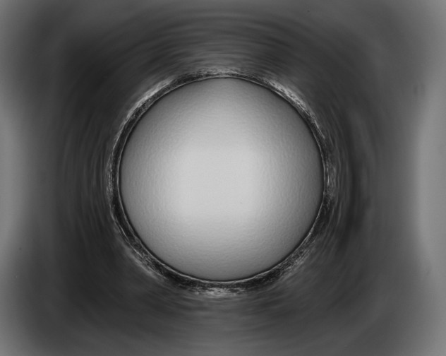 X0000083530390200703021558