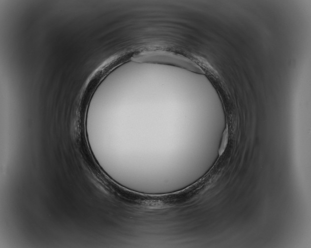 X0000083530392200703021558