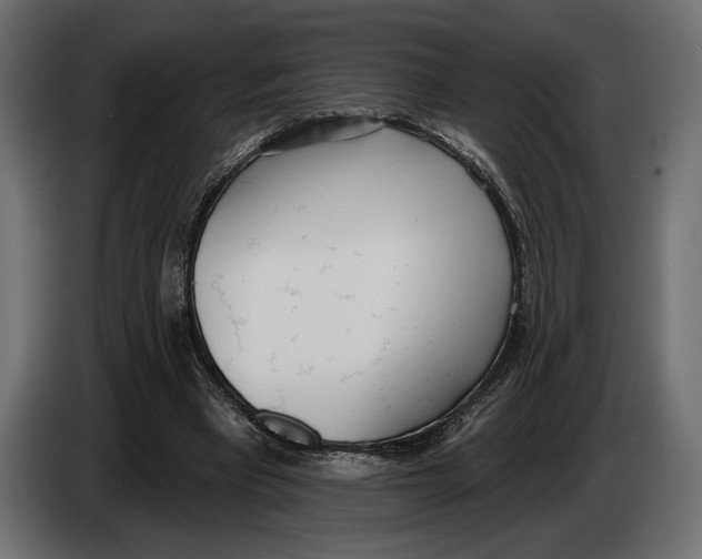 X0000083530393200703021558