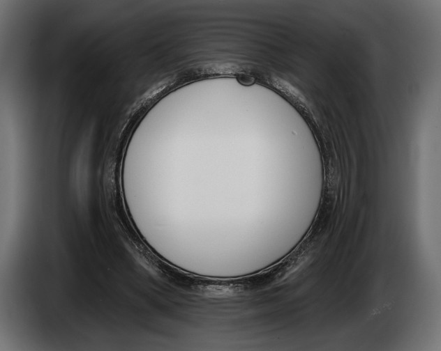 X0000083530394200703021558