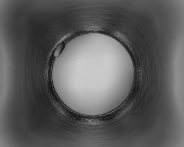 X0000083530395200703021558