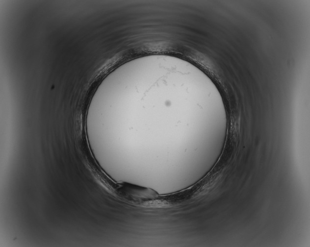 X0000083530397200703021558